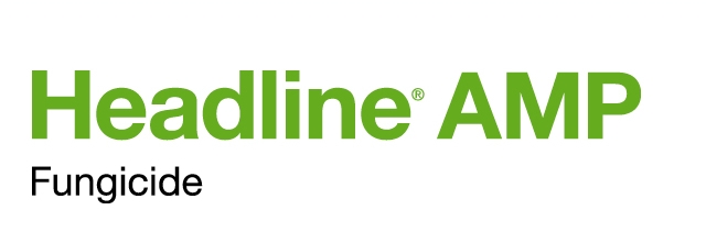 Headline® AMP logo
